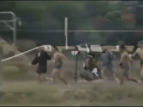 このGIFで笑ったことある人はプラス