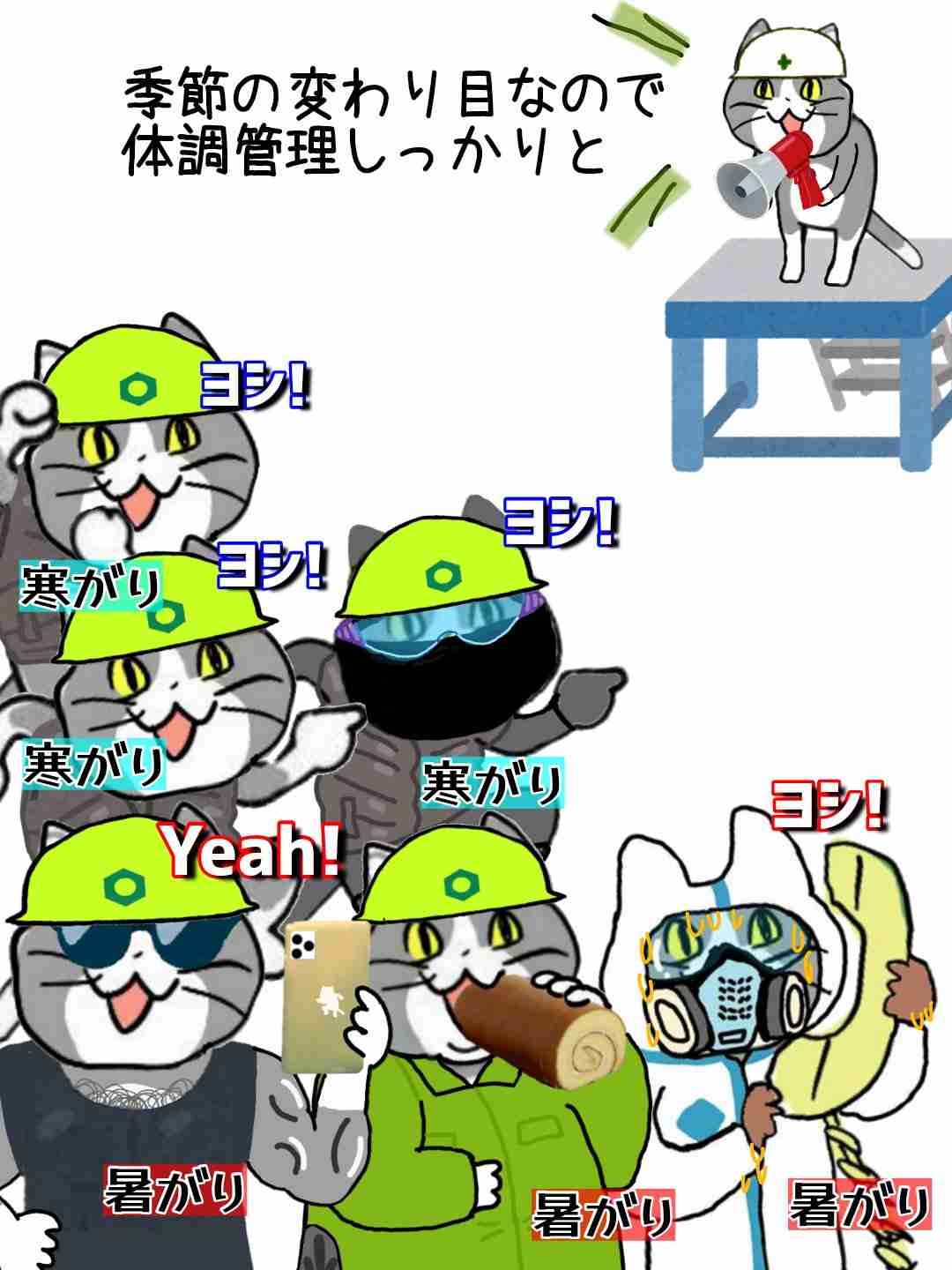 現場猫を見て癒されたい!Part9
