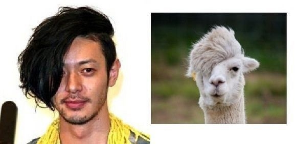 似てると言われた動物