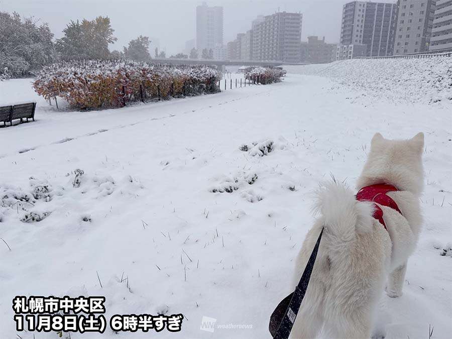 札幌で今季初積雪　平年より4日早い　一気に12cm積もる