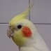 ひまわり on X