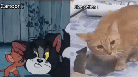 このGIFで笑ったことある人はプラス