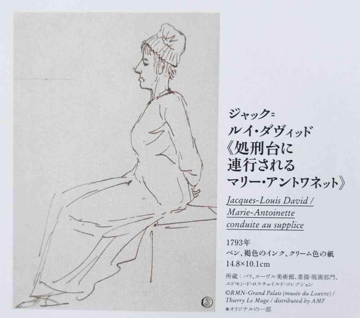 マリー・アントワネットを語りたい