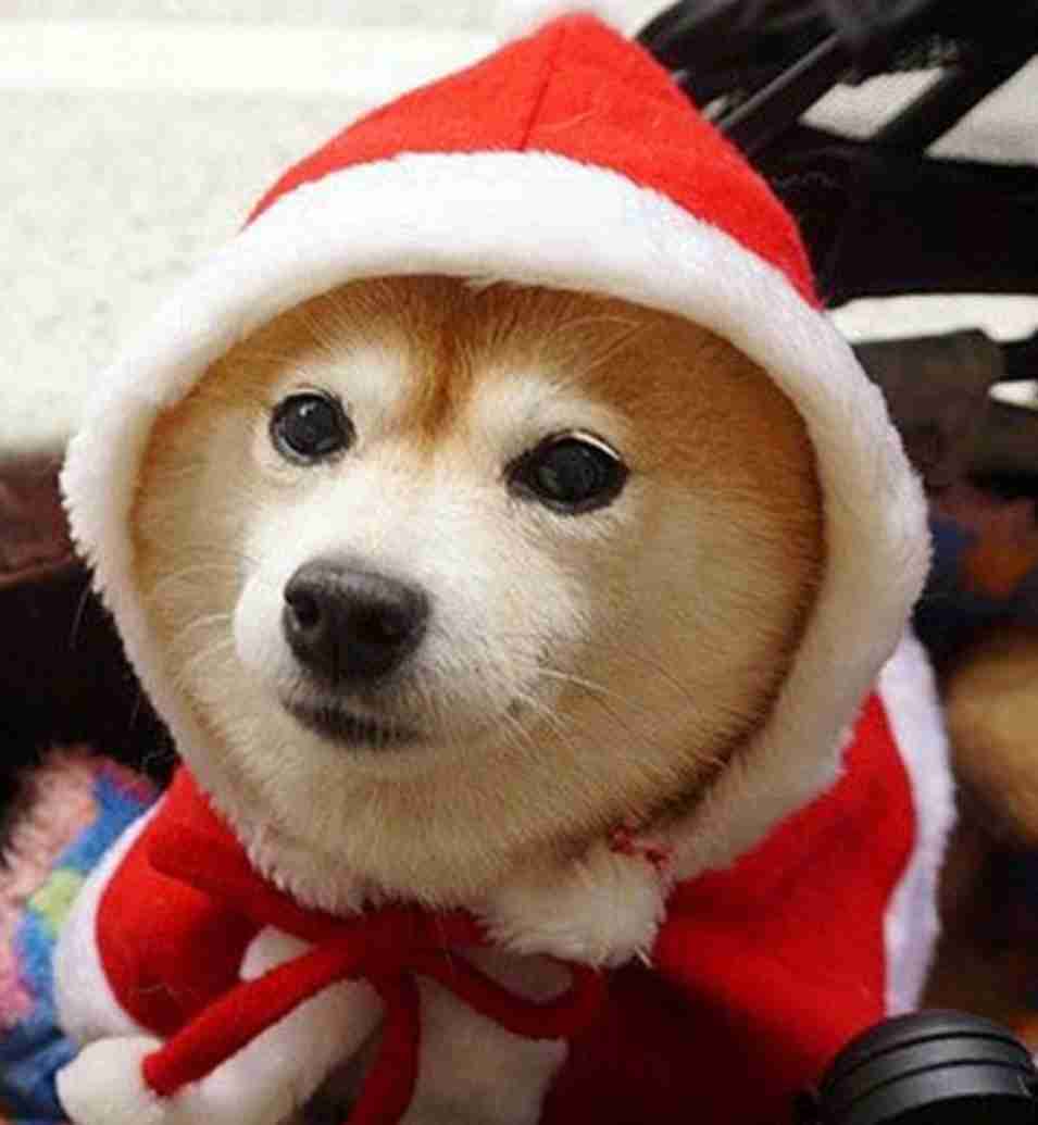 【きっと】最近別れた人!【大丈夫】