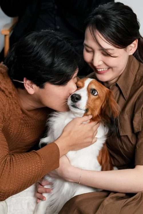 大谷翔平、「大谷翔平ファミリー財団」の設立を発表　子どもと助けを必要とする動物の支援に尽力