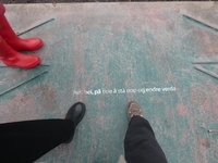 北欧のパラドックス（男女平等世界一アイスランドの性暴力） : FEM-NEWS