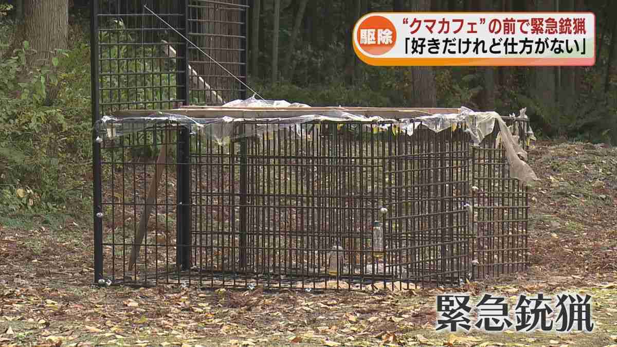 「クマカフェ」の前で “緊急銃猟”　クマ1頭がワナにかかる　カフェオーナーの女性「好きだけれど仕方がない」