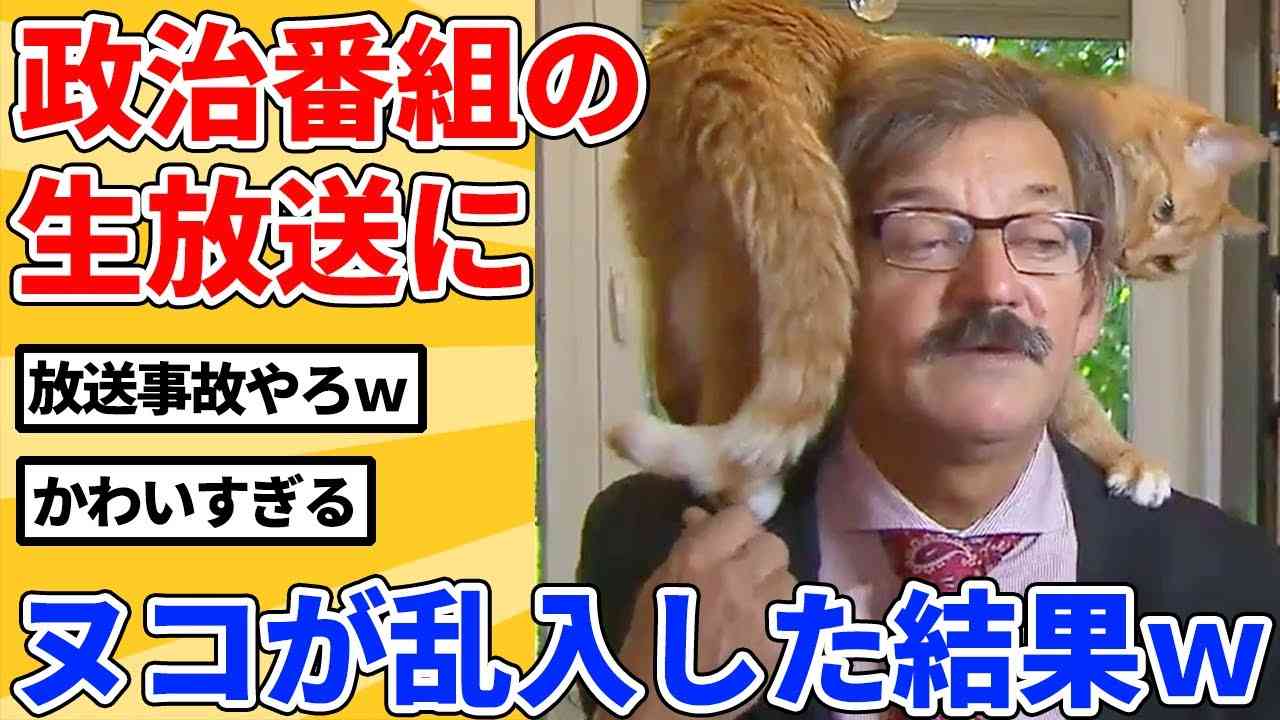 timelesz 篠塚大輝の一発ギャグ「今は　もう動かない　おじいさんにトドメ～♪」が波紋