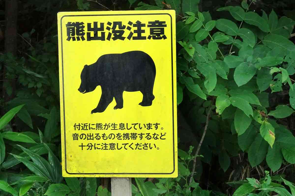 「本気を見た」「実用まで10年…」群馬知事の