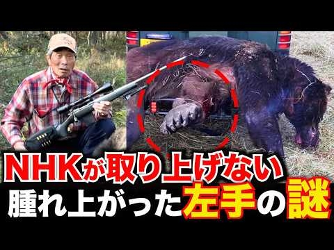【ヒグマ駆除】NHKは取材NG、怪物ヒグマOSO18の舞台裏