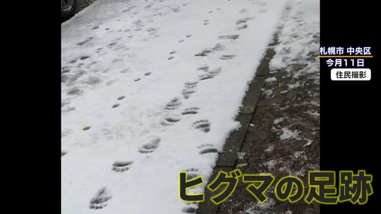 【不安】札幌市中心部でクマ目撃 繁華街「ススキノ」周辺でも…住宅街で“クマの足跡” 公園は全面閉鎖・見回りに猟友会も