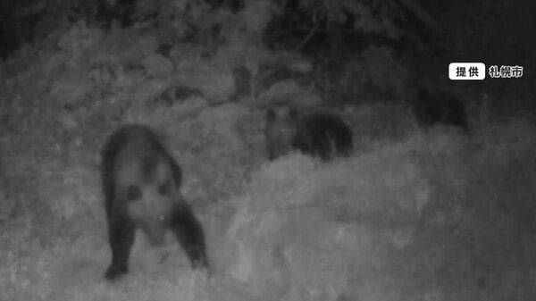 【不安】札幌市中心部でクマ目撃　繁華街「ススキノ」周辺でも…住宅街で“クマの足跡”　公園は全面閉鎖・見回りに猟友会も｜FNNプライムオンライン