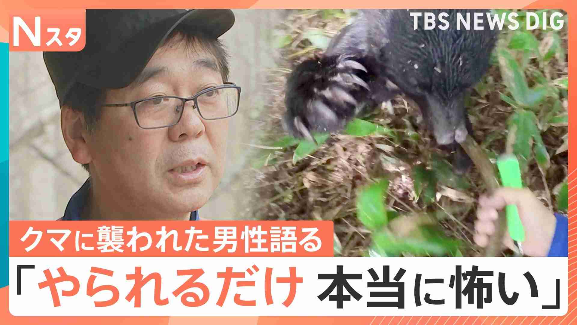 「小さいクマでも絶対に勝てない」襲われた男性が語った“恐怖と異変” 猛暑の影響でドングリが大凶作…被害者の大半が人里で襲撃（TBS NEWS DIG Powered by JNN） - Yahoo!ニュース
