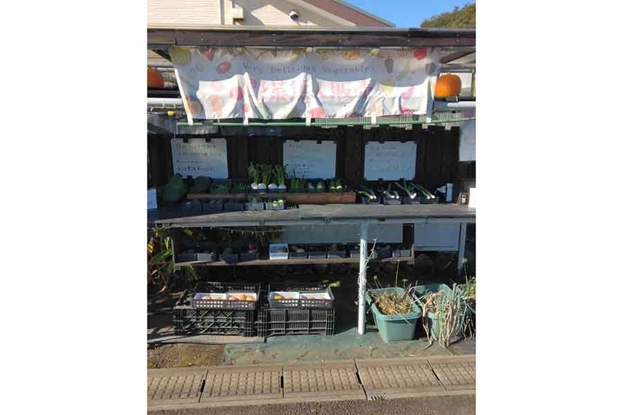 「3600円あるかなって料金箱開けたら」→無人販売所でまさかのサプライズ　売り上げが計算と合わないハプニングに反響　「世の中捨てたもんじゃないですね」