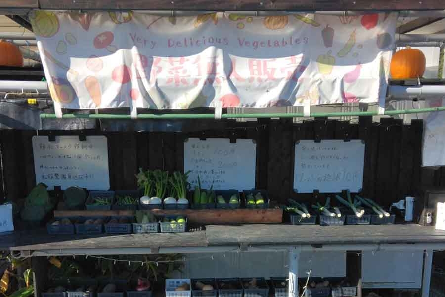 「3600円あるかなって料金箱開けたら」→無人販売所でまさかのサプライズ　売り上げが計算と合わないハプニングに反響　「世の中捨てたもんじゃないですね」 | Hint-Pot