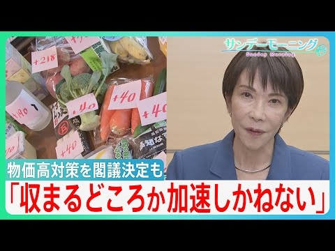 「物価高は収まるどころか加速しかねない」コロナ後最大21.3兆円の「総合経済対策」を閣議決定も更なる円安＆物価高の懸念…【サンデーモーニング】｜TBS NEWS DIG