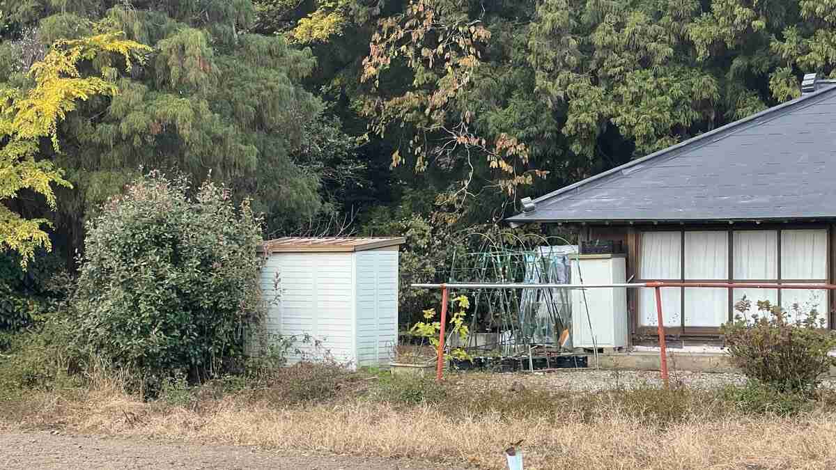 74歳男性が自宅の庭先でクマに襲われけが　妻が大声をあげてクマは逃げ出し、その後猟友会が駆除　栃木・鹿沼市 | TBS NEWS DIG