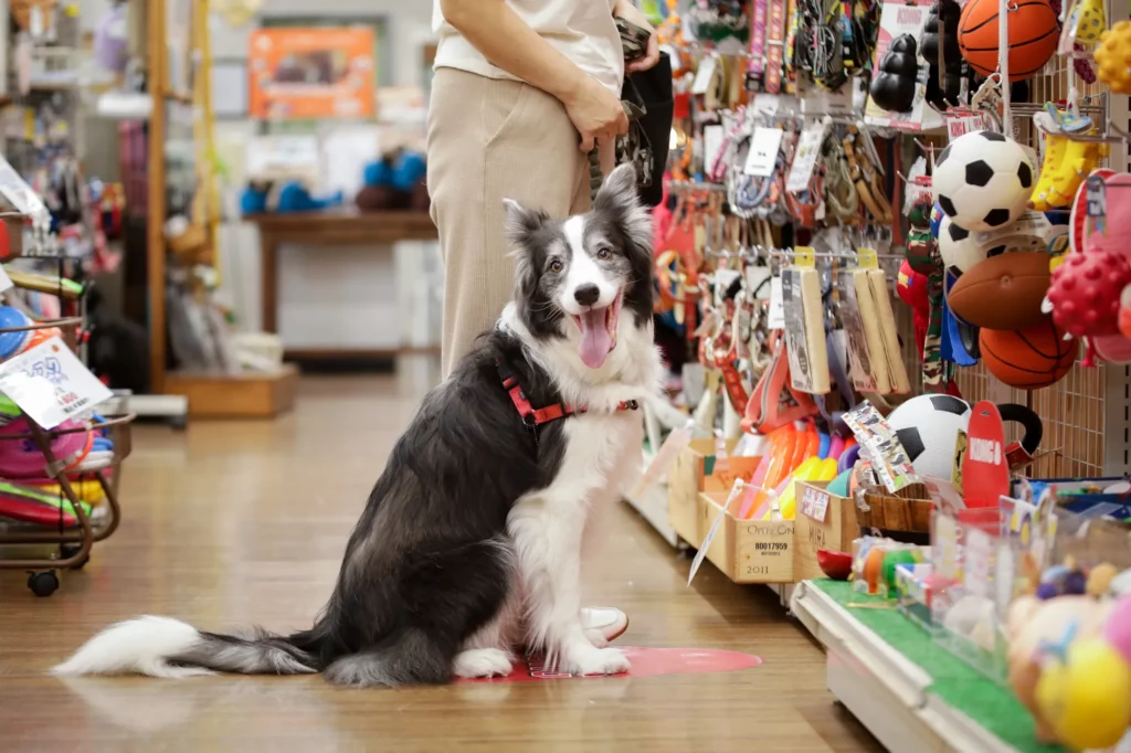 ペットショップで生体を扱うのはどうなのか