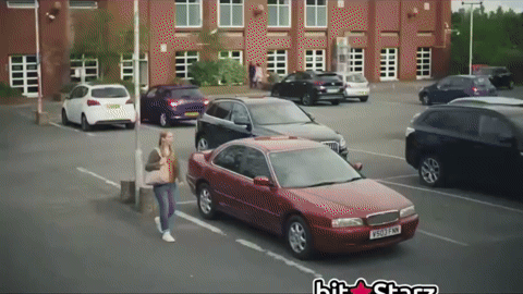 このGIFで笑ったことある人はプラス