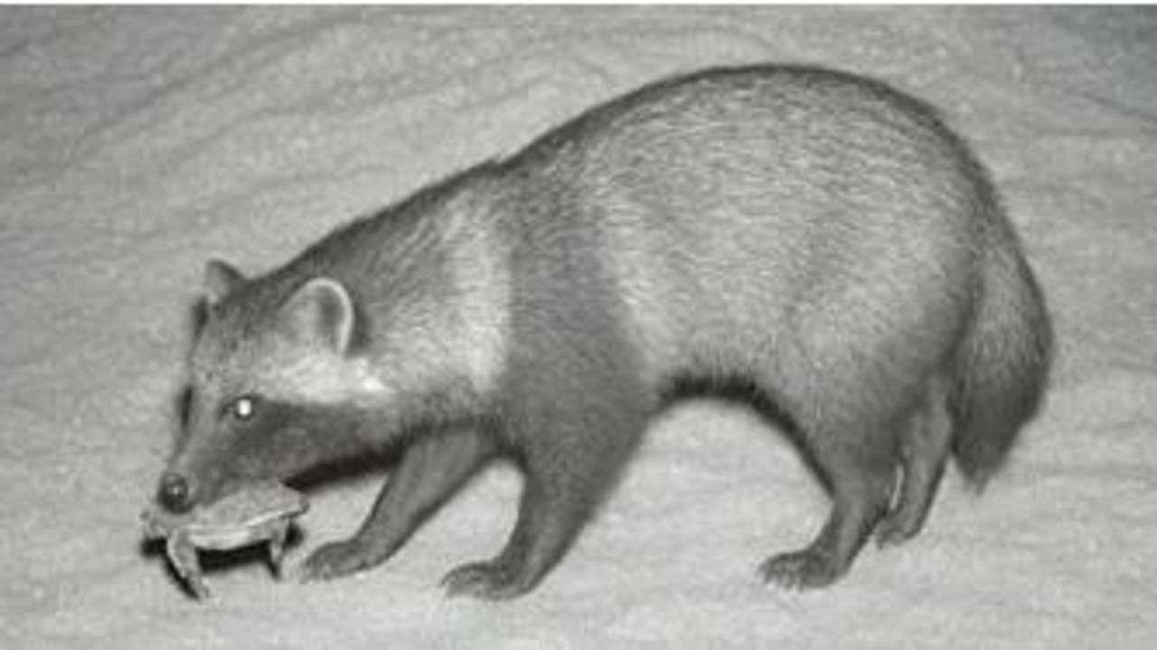 共同 AI加工の提供写真を取り消し - Yahoo!ニュース