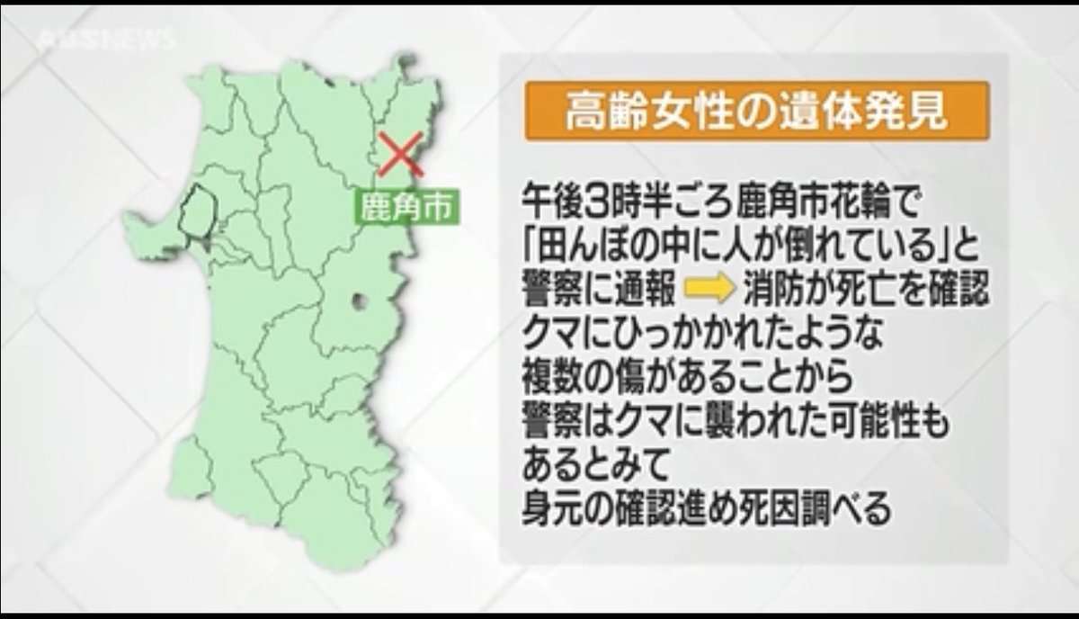 鹿角市の田んぼで倒れている高齢女性の遺体発見　クマが襲ったか