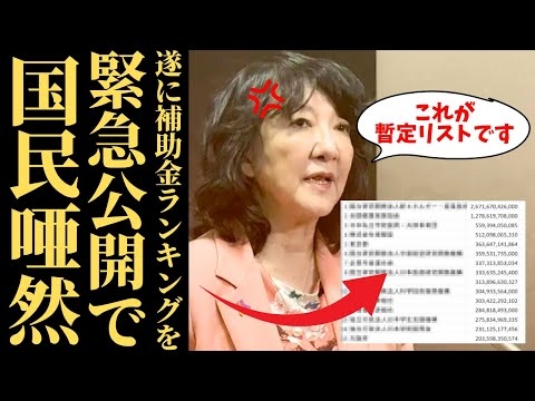 【リスト公開】補助金ランキングで判明した闇が深すぎる…博報堂と東京都の異常値が示す日本崩壊の構図