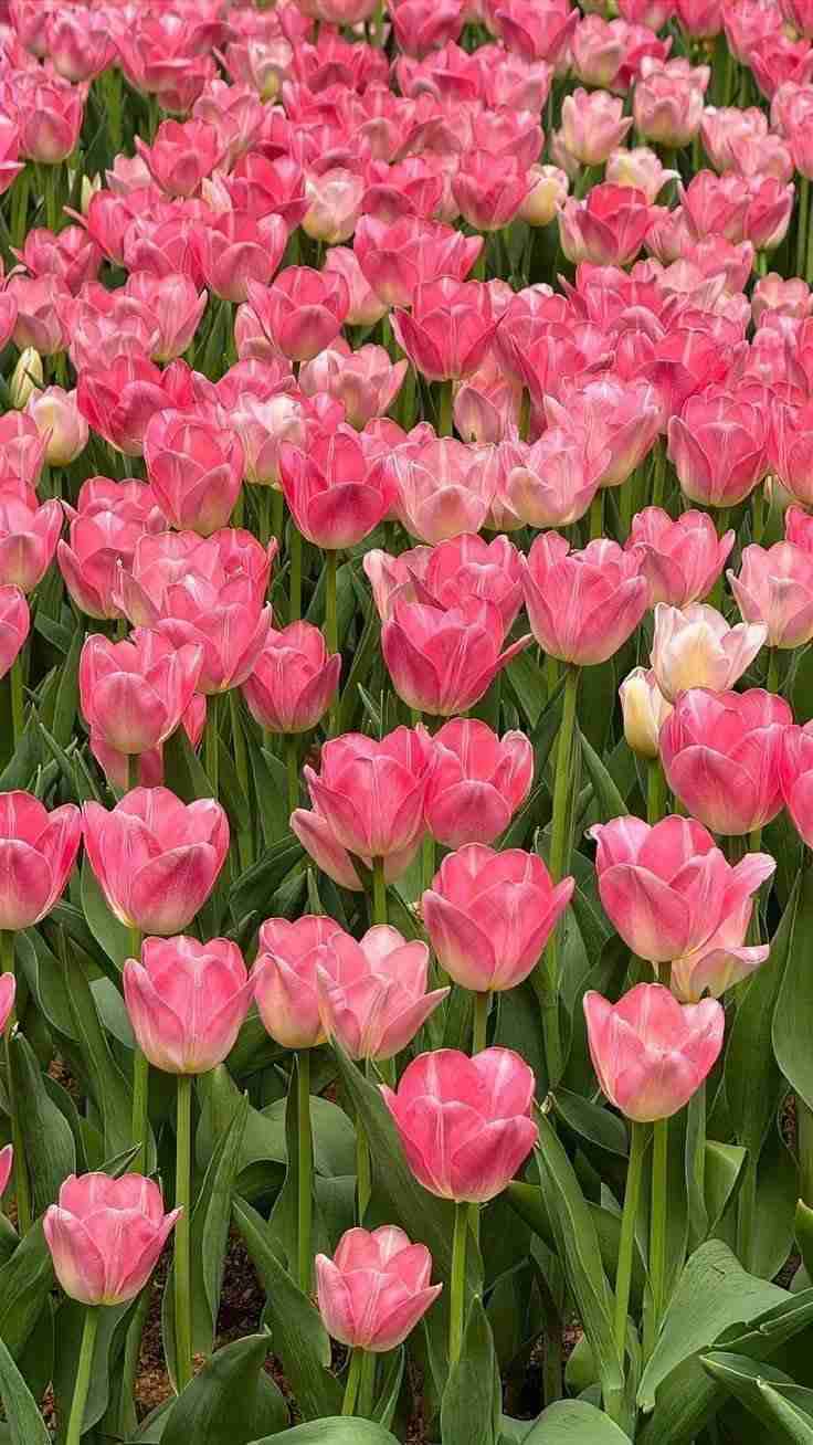 冬季うつ対策2024