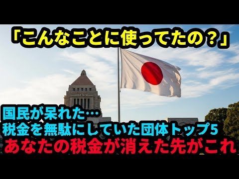 国民が呆れた…税金を無駄にしていた団体トップ5 #政治 #社会問題