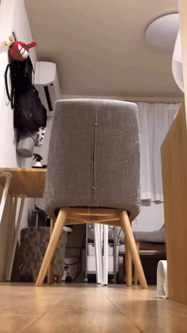 このGIFで笑ったことある人はプラス