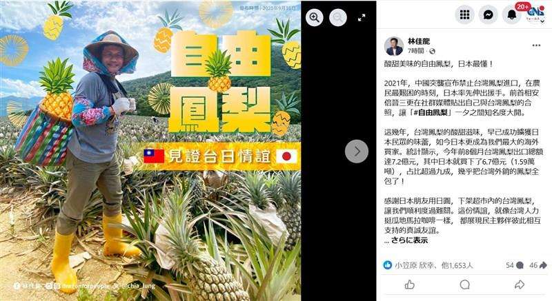 今年輸出の台湾産パイン、9割超が日本に  林外交部長が感謝（中央社フォーカス台湾） - Yahoo!ニュース