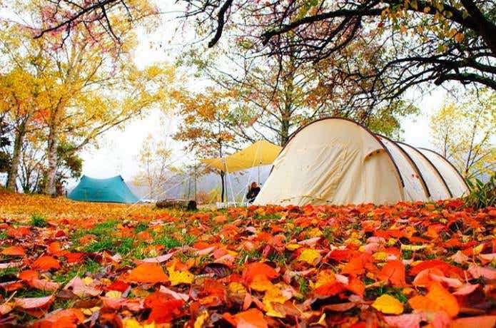 休日の過ごし方【理想と現実】