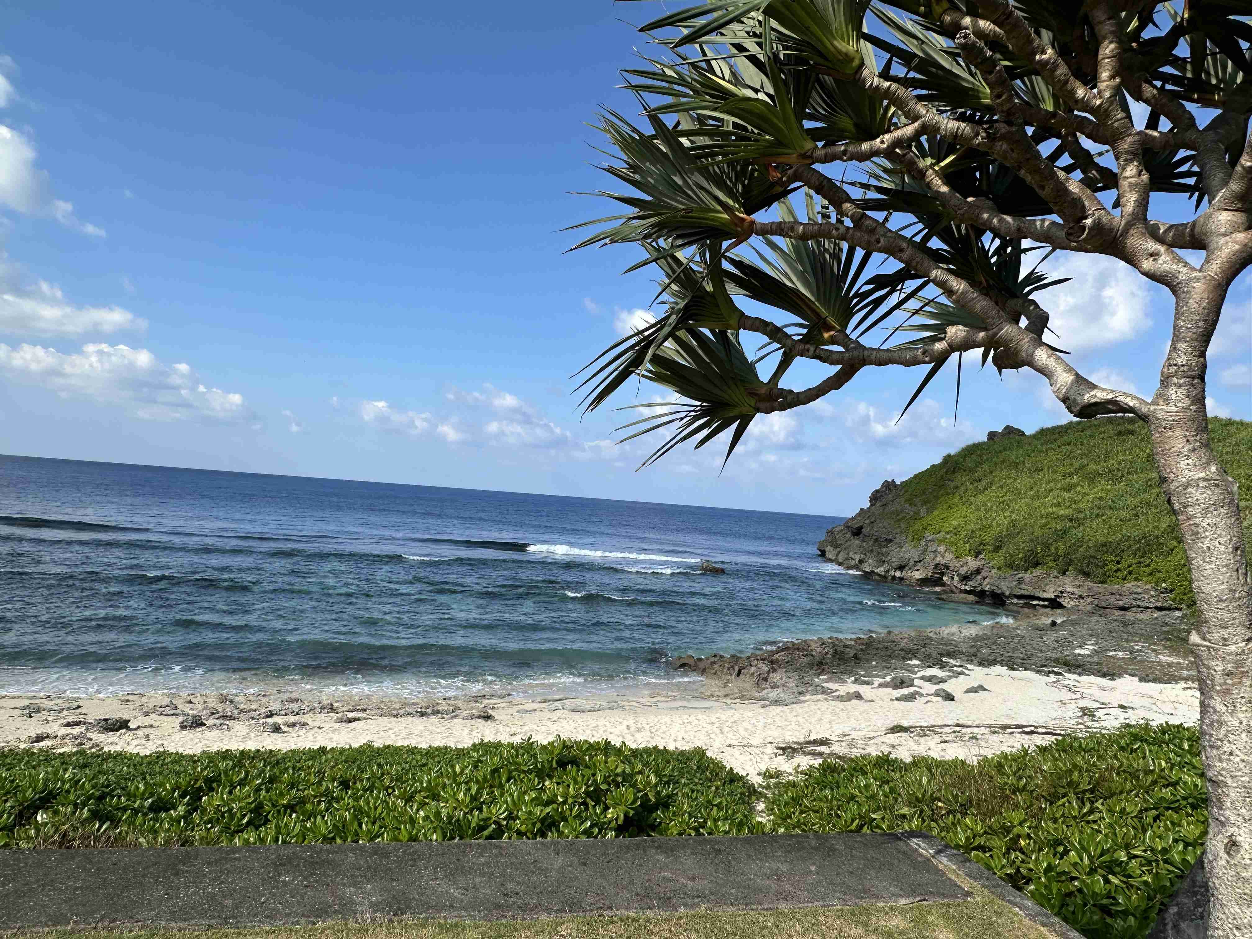 この三連休旅行に行った人