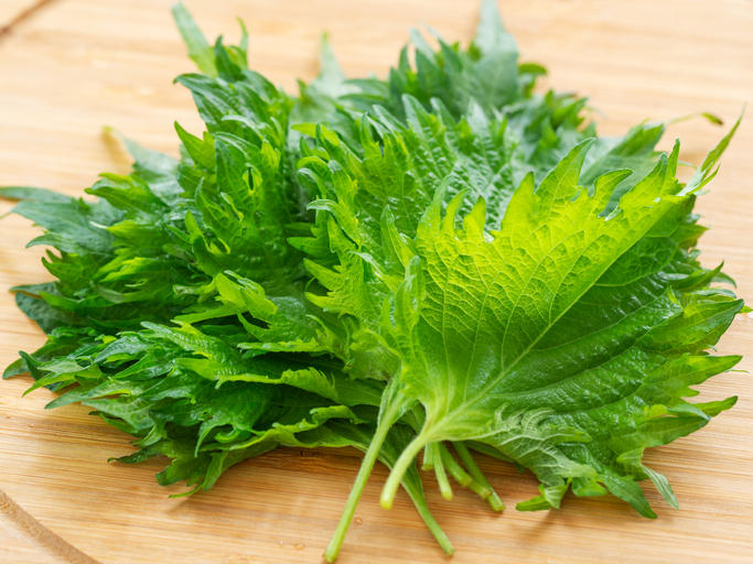 「しそ」と「大葉」の違いとは？呼び名の使い分けや由来、おすすめレシピもご紹介｜HANKYU FOOD おいしい読み物｜フード(食品・スイーツ)｜阪急百貨店公式通販 HANKYU FOOD