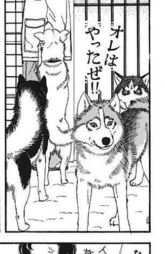 年末年始の我が家の情景を貼るトピpart4