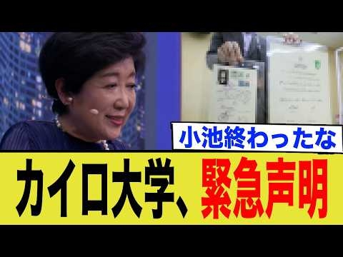 小池、エジプト緊急声明で終了