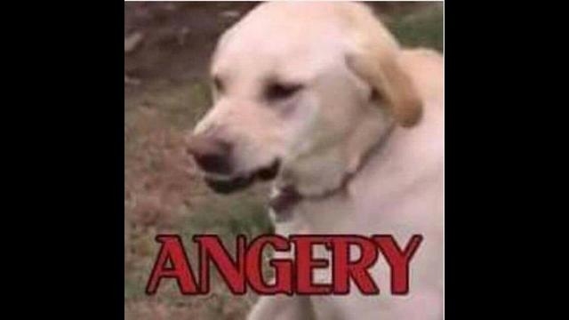 Epstein, Ray Chandler, Branson, Clinton Kabbalahistic Cannibal Rituals, Wayback Fuckery