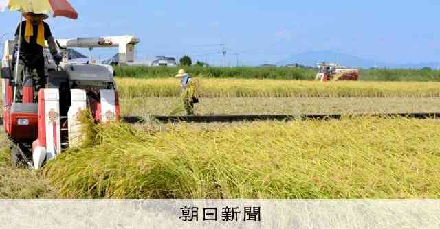 主食用のコメ、輸入枠を拡大すれば不足解消？　財務省が提言：朝日新聞