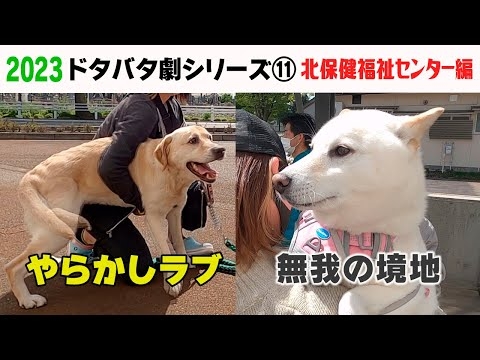 2023狂犬病予防注射会場のドタバタ劇⑪ 北保健福祉センター編