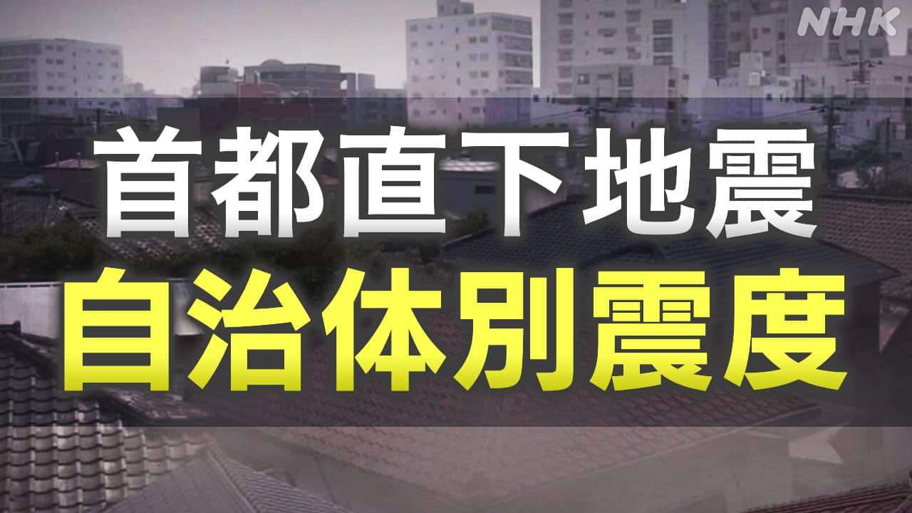 首都直下地震 被害想定 東京 神奈川 埼玉 千葉 茨城 群馬 栃木 長野 山梨 静岡【市区町村別の震度一覧】 | NHKニュース | 首都直下地震、地震、ニュース深掘り