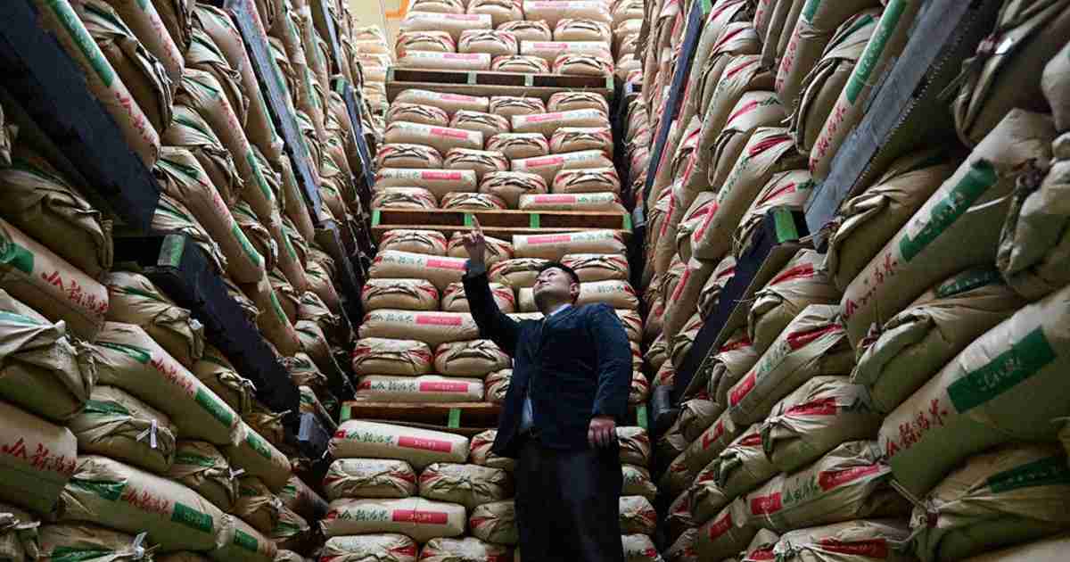 事実上の減反政策を法定化へ　農水省方針　「需要に応じた生産」推進 | 毎日新聞