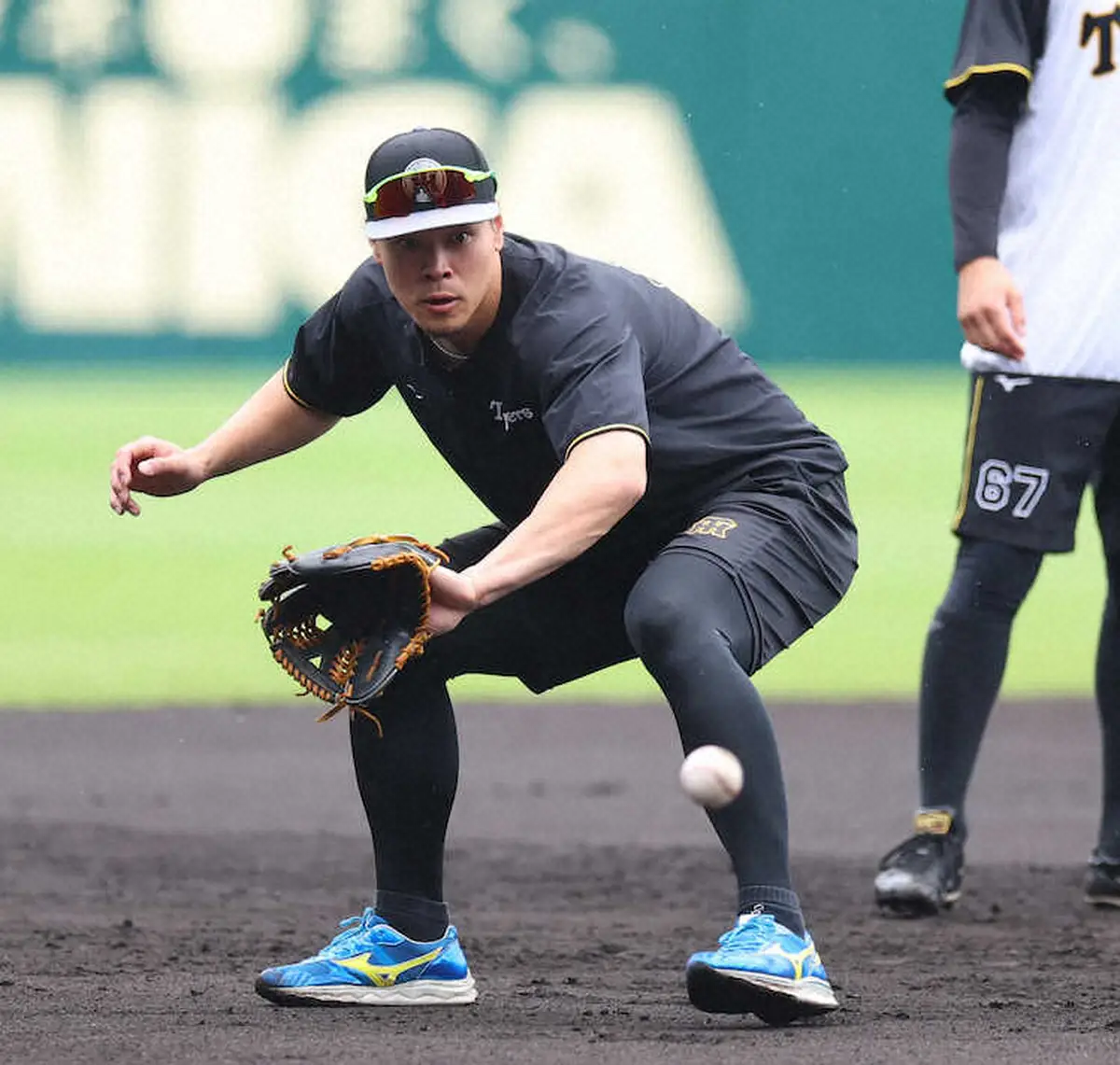 【記事全文】阪神・佐藤輝明　ロサンゼルスでド軍ベッツと合同自主トレプラン！　日米MVP夢の競演でさらなる高みへ - スポニチ Sponichi Annex 野球