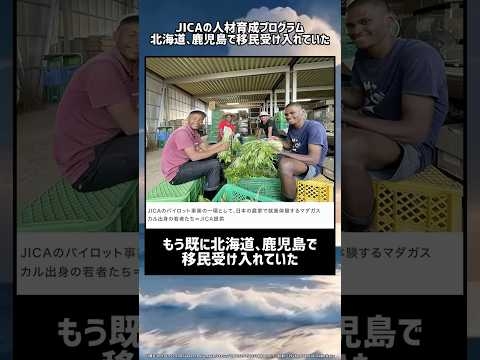 【JICA】既に北海道、鹿児島で移民受け入れていた