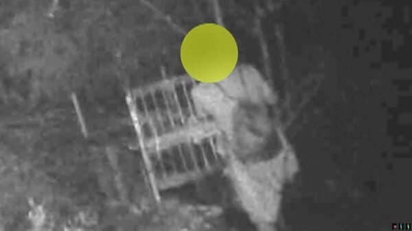 害獣駆除の「箱罠」に妨害行為相次ぐ　扉を蹴り上げて閉める不審人物も…猟友会から相談受け警察は「警告」などの対応｜FNNプライムオンライン