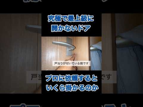 #shorts 【ラッチが見えない】レバーが壊れて開かないドア【上級編】自分で開けれます