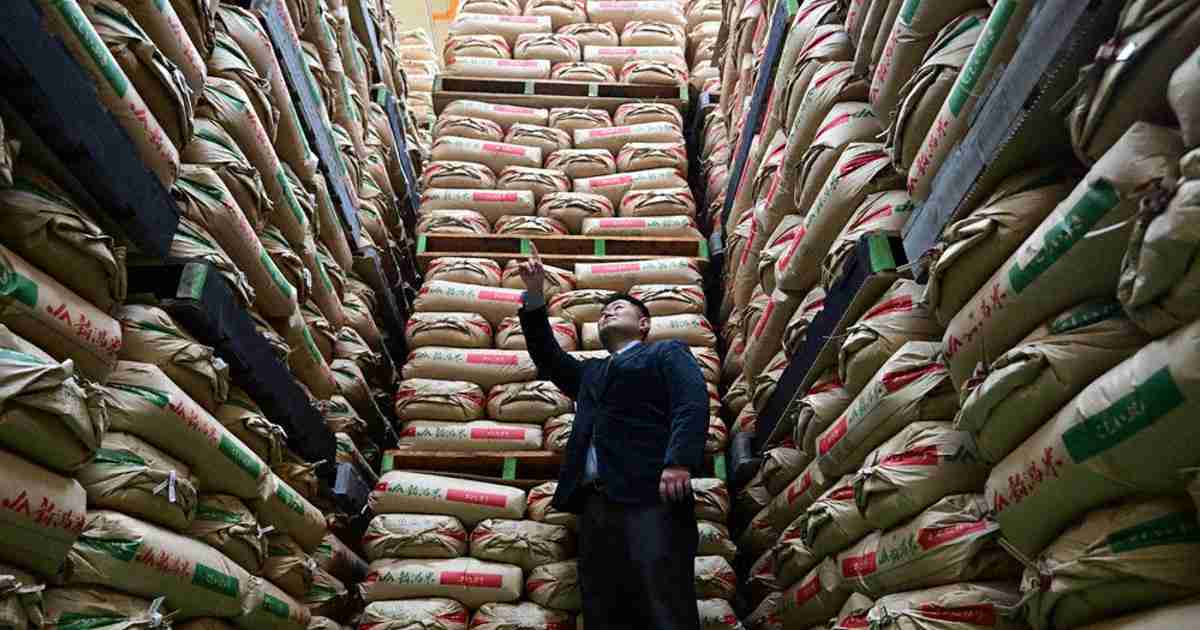 事実上の減反政策を法定化へ　農水省方針　「需要に応じた生産」推進 | 毎日新聞