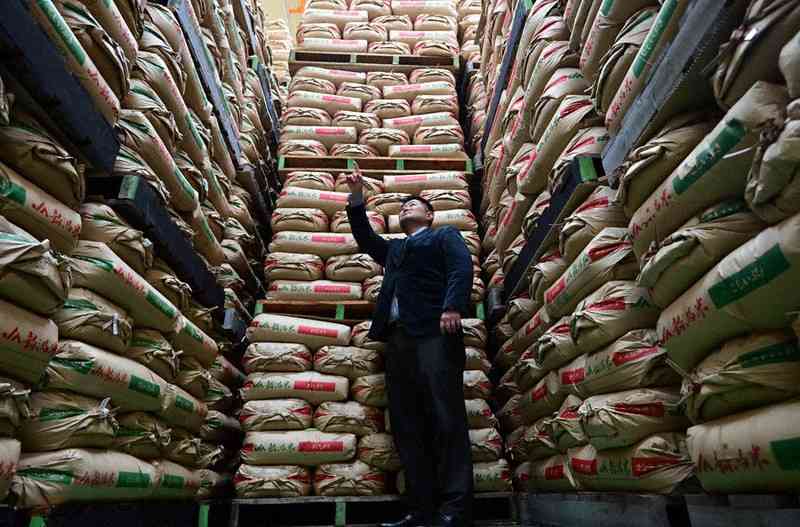 事実上の減反政策を法定化へ　農水省方針　「需要に応じた生産」推進