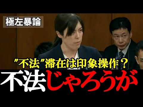 【れいわ・上村英明】不法在留は印象操作、無登録と言え！極左の暴論を小野田がぶった斬る！【2025年12月3日衆議院内閣委員会】