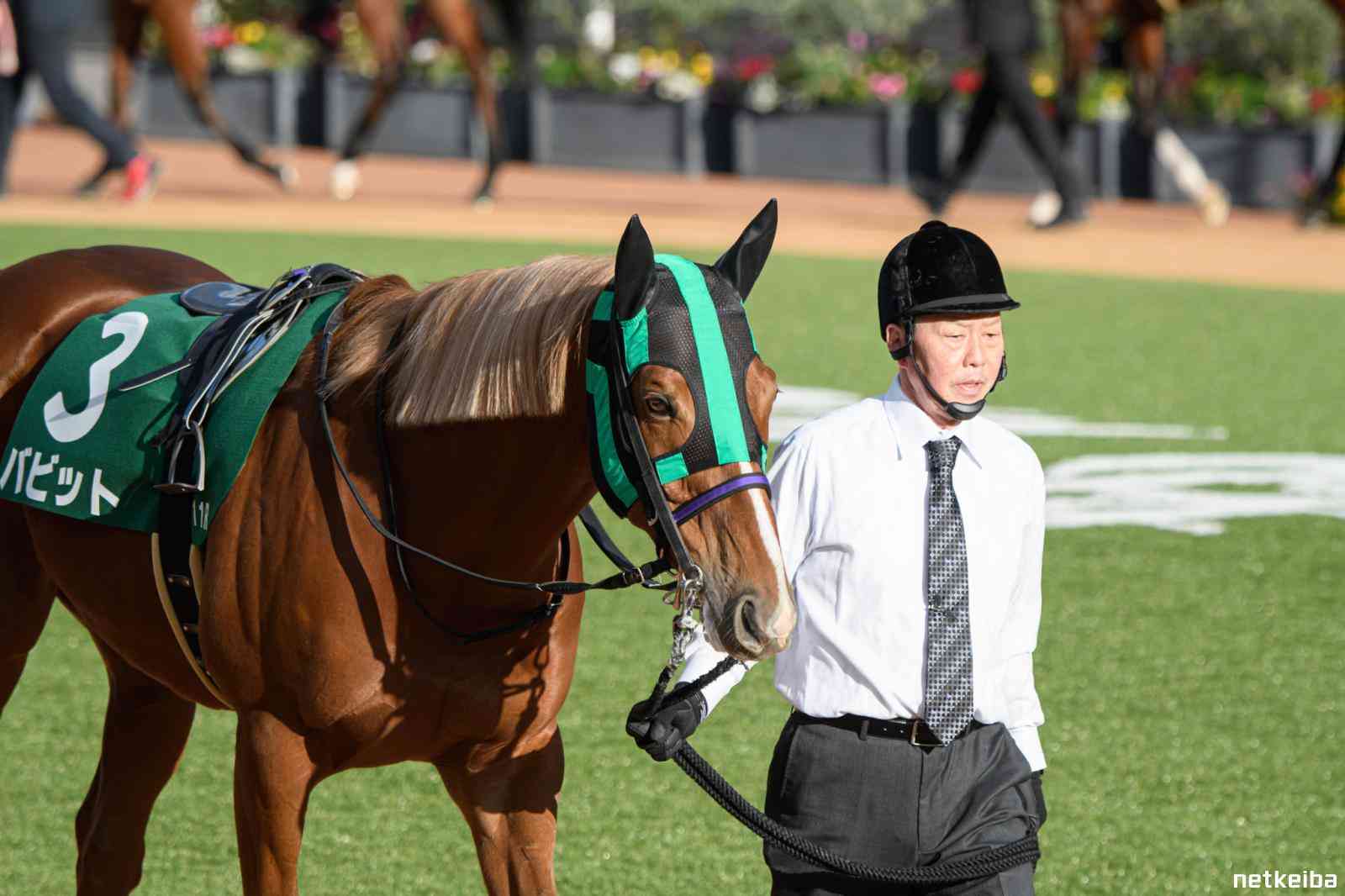 バビット (Babbitt) | 競走馬データ - netkeiba