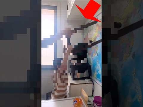 世界で1億再生した子ども #shorts