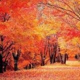 >>28832誰とでも仲良くなれる14歳歳下の男いたなバイト先で双子の妹いたからなのか... | ガールズちゃんねる - Girls Channel -